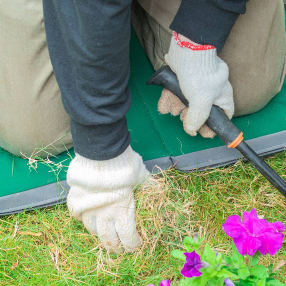buy garden kneel cushion pads
