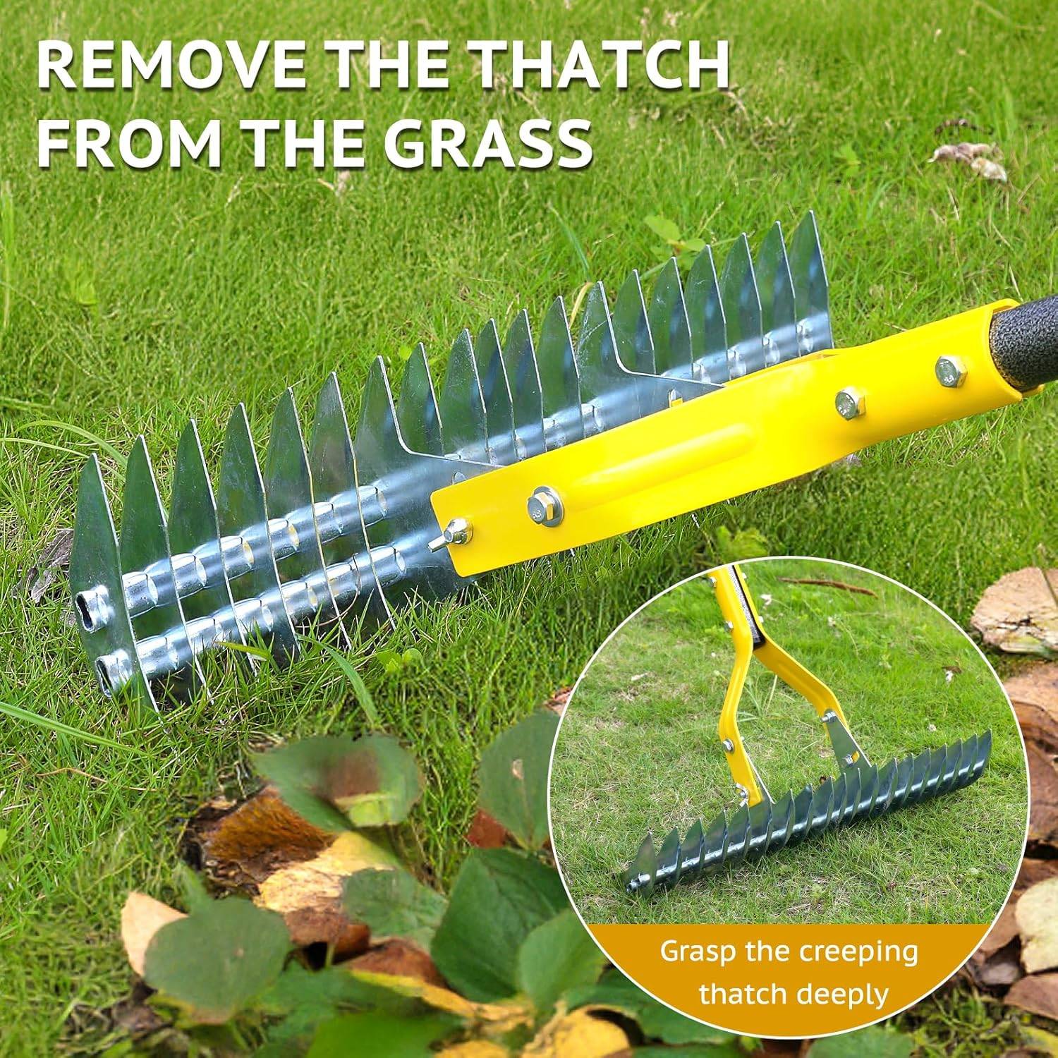 buy grass dethatcher rake
