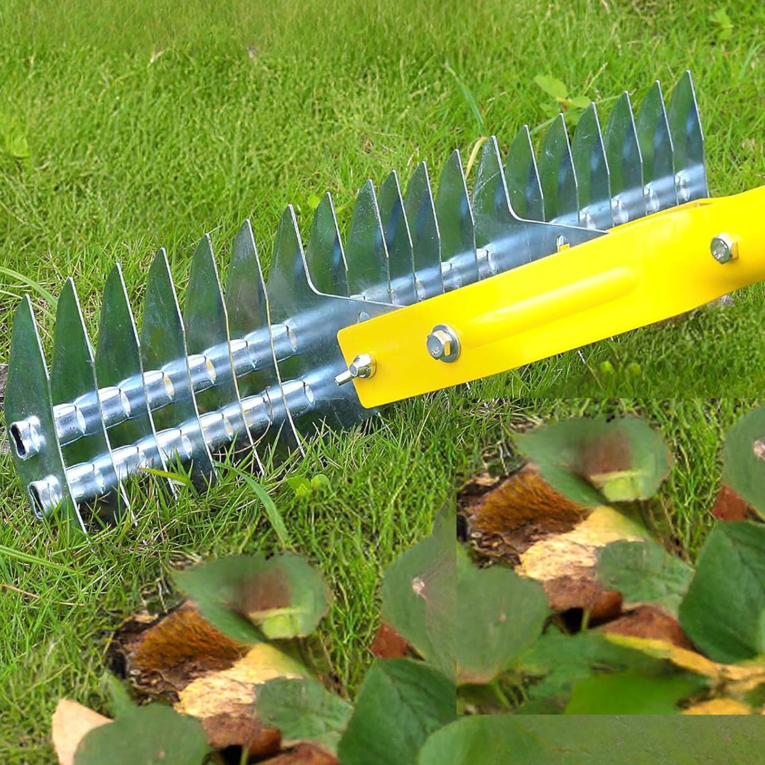 buy manual dethatching rake