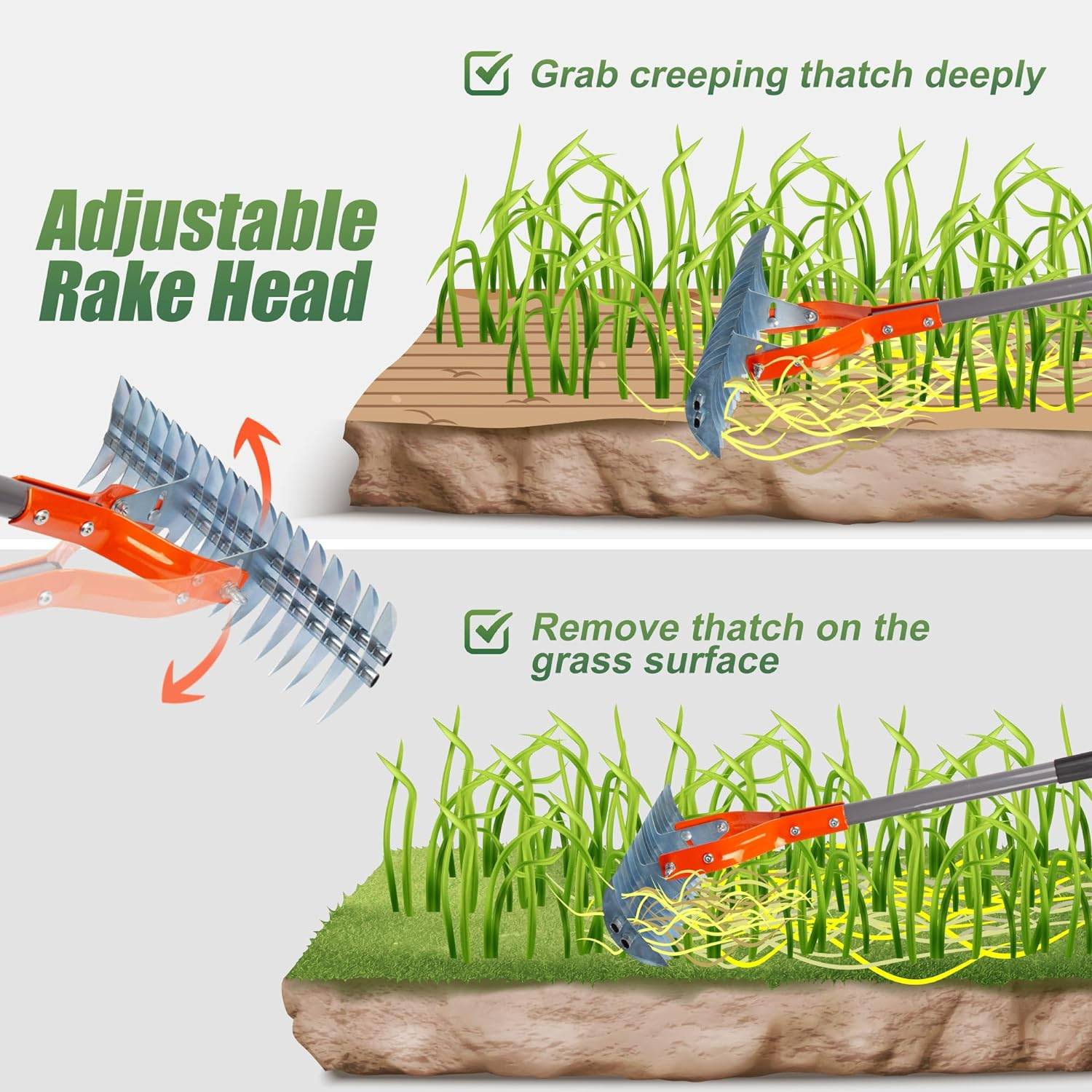 Lawn Thatcher Rake: image 6